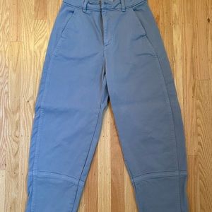 Everlane Barrel Pant